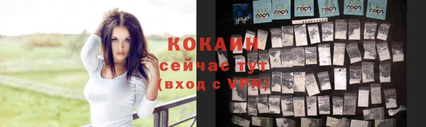 ГАЛЛЮЦИНОГЕННЫЕ ГРИБЫ Горнозаводск