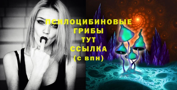 ГАЛЛЮЦИНОГЕННЫЕ ГРИБЫ Горнозаводск