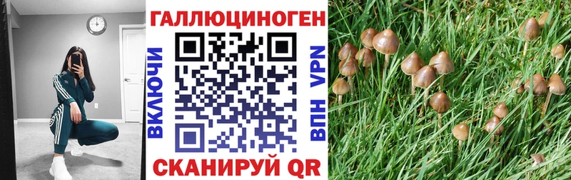 закладки  Кисловодск  OMG как зайти  Галлюциногенные грибы Psilocybine cubensis 